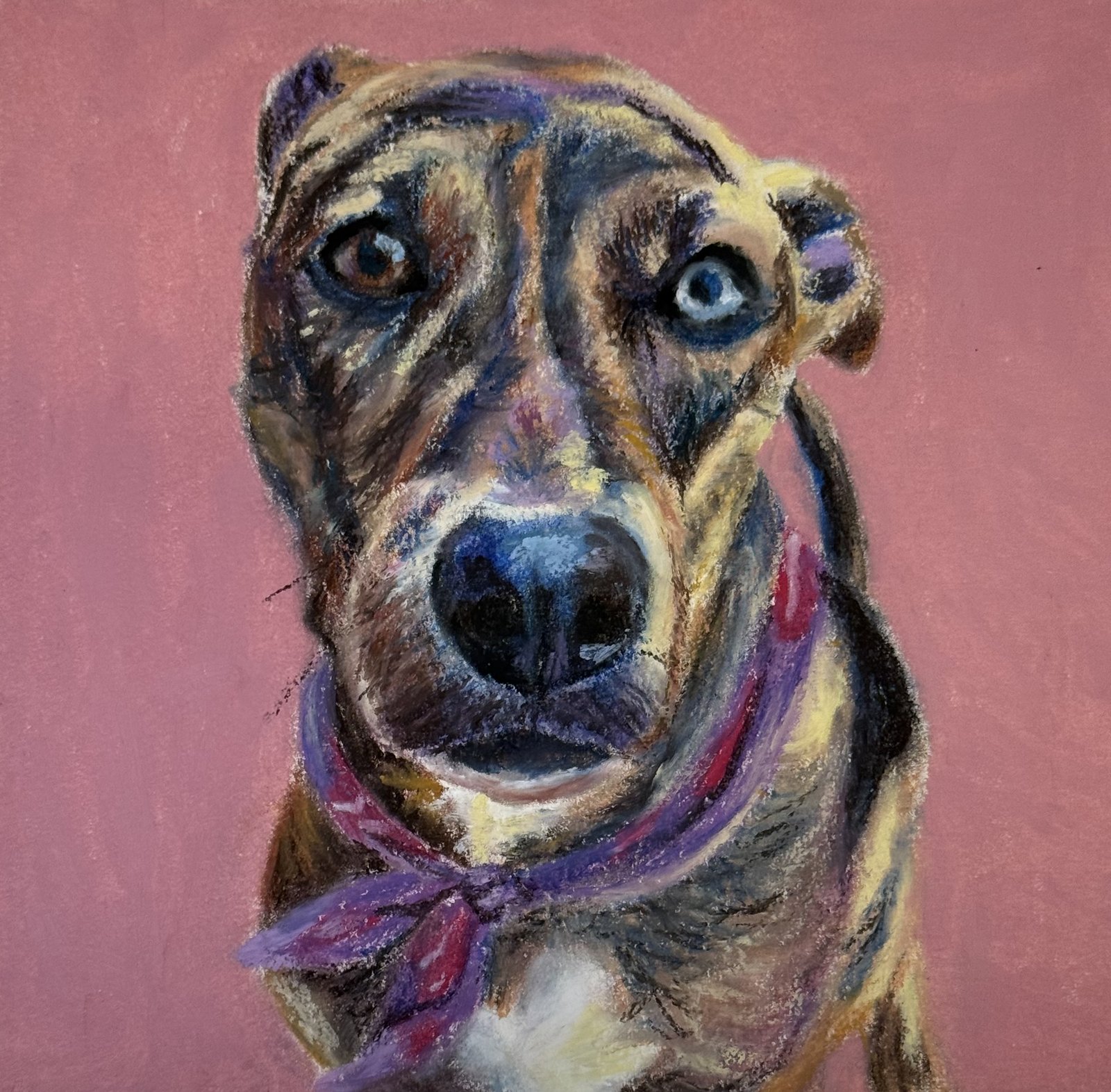 Oil pastel pet portrait