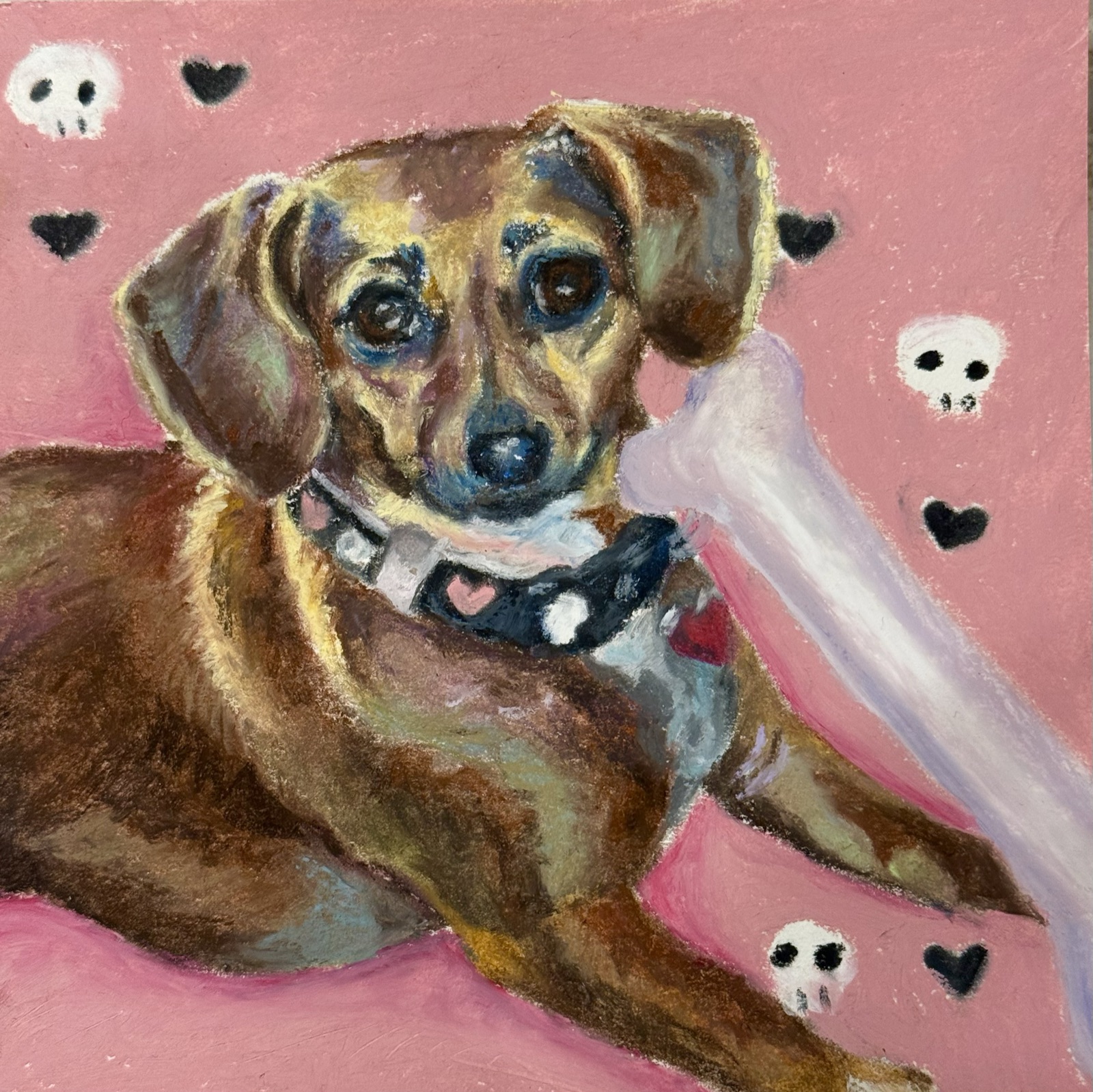 Oil pastel portrait of a dachshund on pink with little hearts and skulls