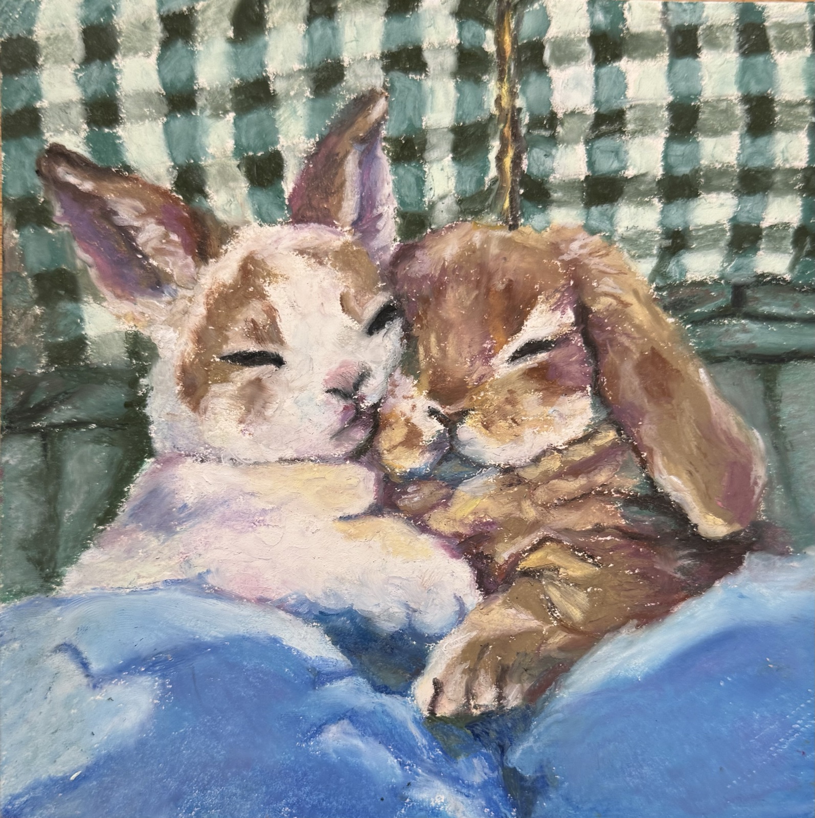 Oil pastel portrait of two bunnies cuddling