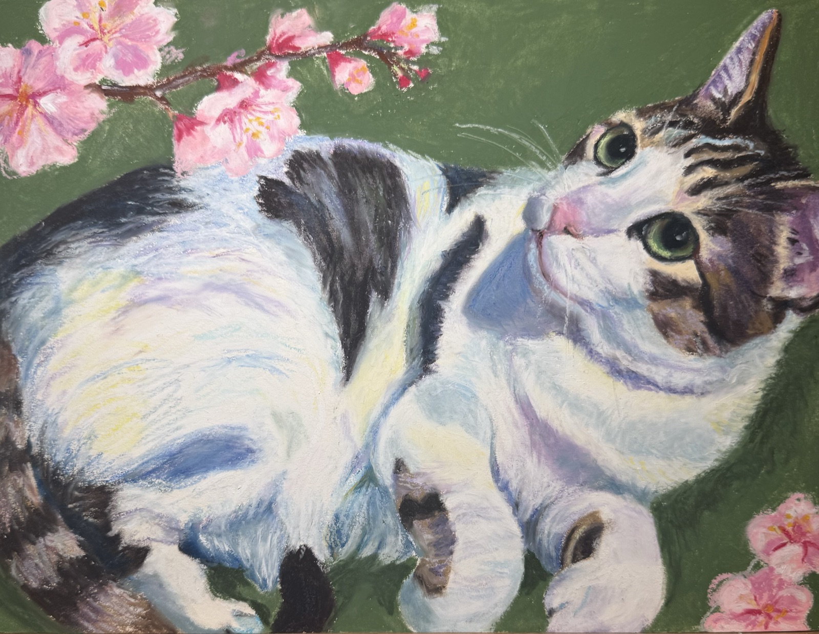 Oil pastel portrait of a calico cat lying beneath pink cherry blossoms
